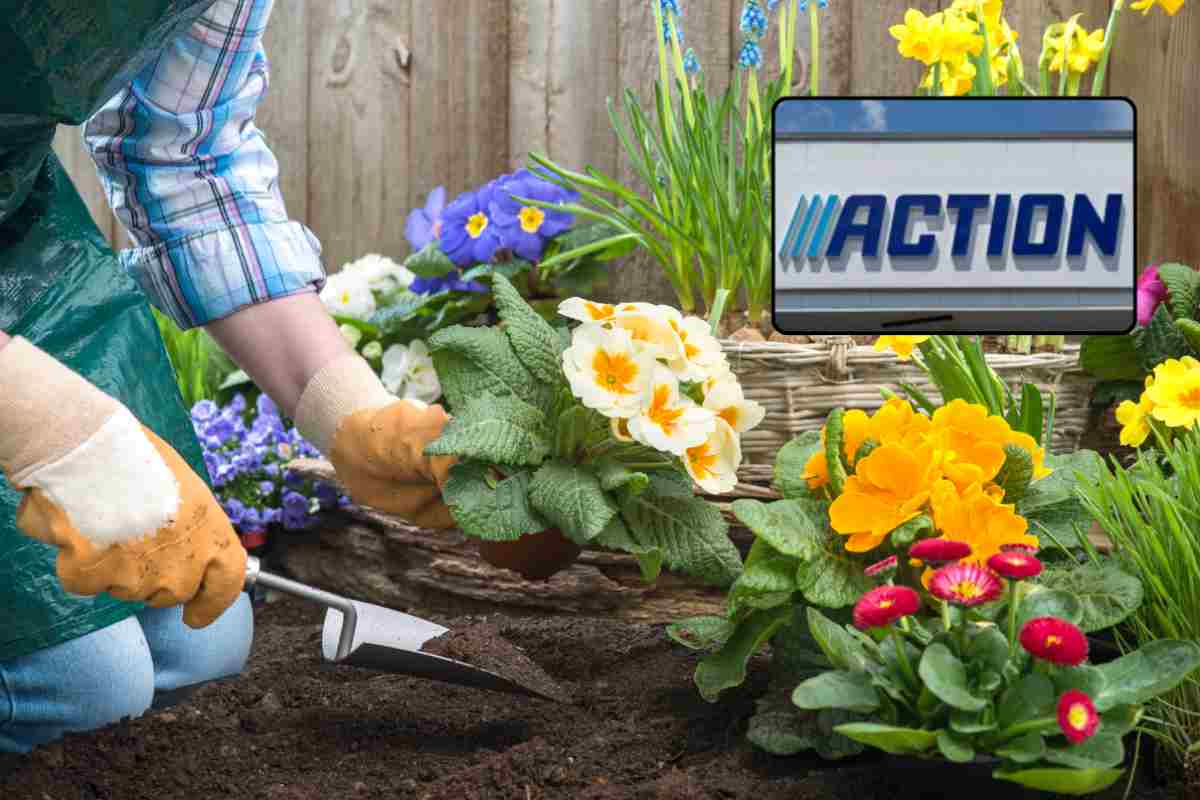 Action logo giardinaggio