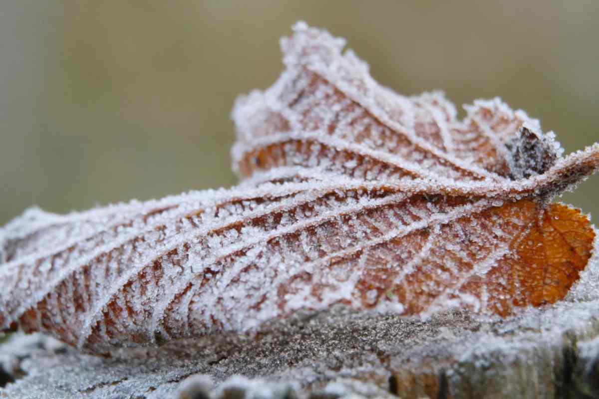 Temperature sotto zero